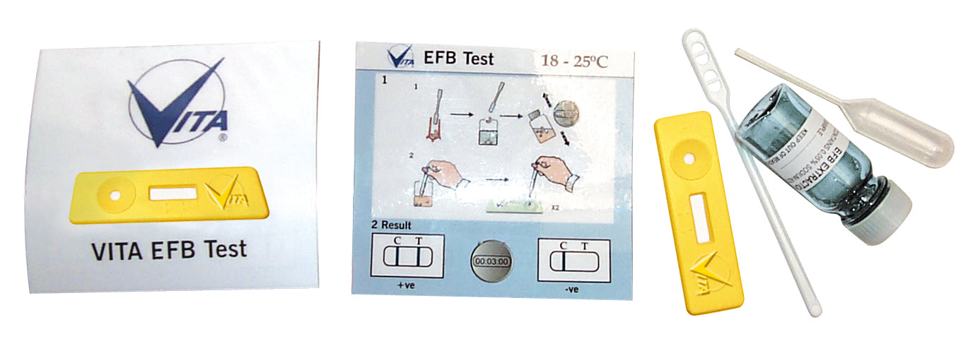 EFB test