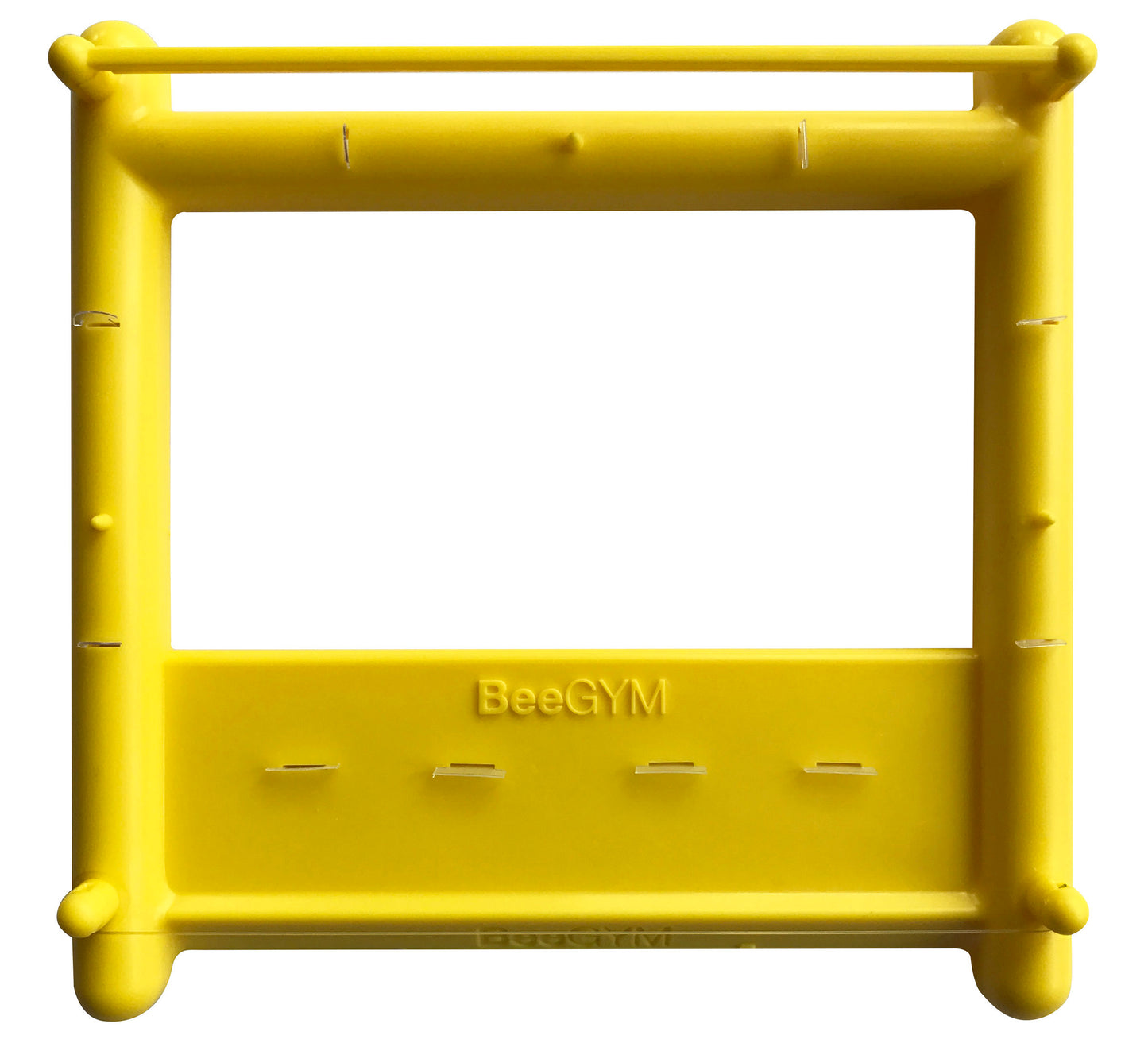 BeeGym